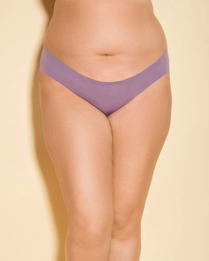 Extended High Waisted Bikini
