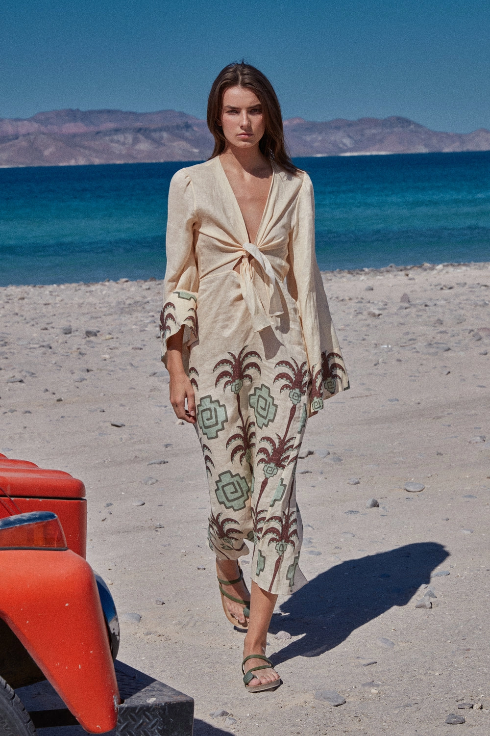 Sailing Flags Dress